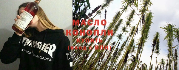 винт Абаза