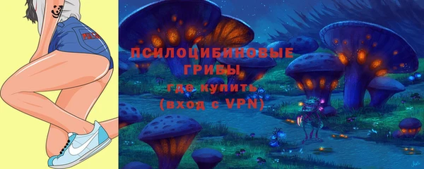 винт Абаза