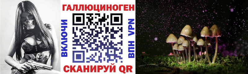 даркнет сайт  Устюжна  Псилоцибиновые грибы GOLDEN TEACHER 